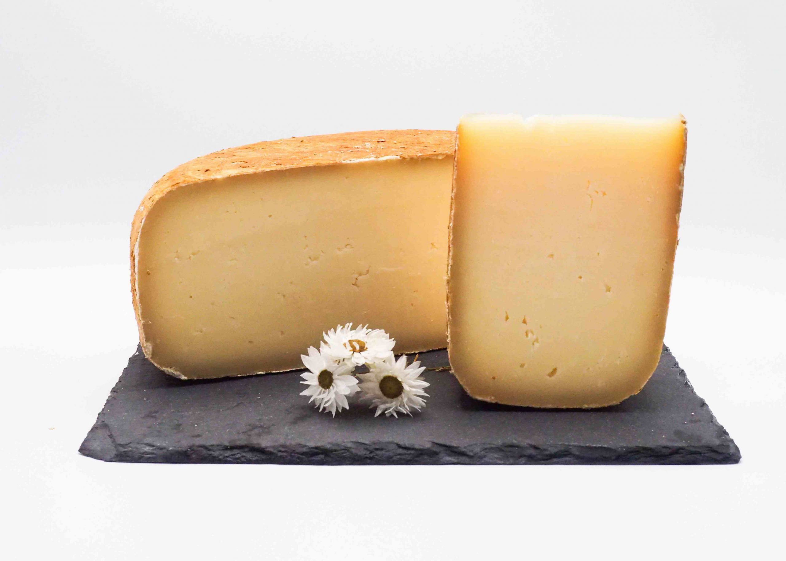 "NAPOLEON" TOMME DES PYRÉNÉES BREBIS VIEUX